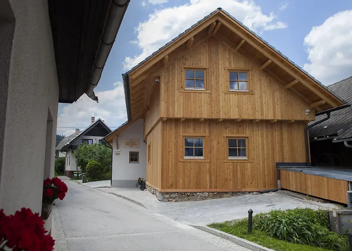 1861 Blejka 公寓 布莱德