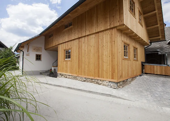 1861 Blejka 公寓 *